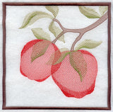Apple Soft Shadow Square