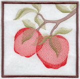 Apple Soft Shadow Square