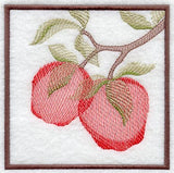 Apple Soft Shadow Square
