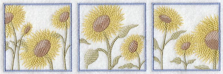 Sunflower Soft Shadow Triptych