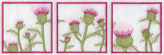 Thistle Soft Shadow Triptych