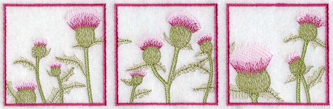 Thistle Soft Shadow Triptych