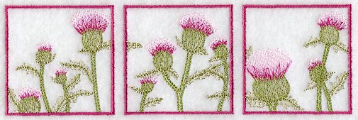 Thistle Soft Shadow Triptych