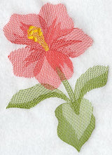 Hibiscus Soft Shadow