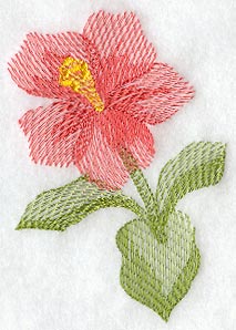 Hibiscus Soft Shadow