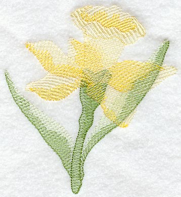 Daffodil Soft Shadow
