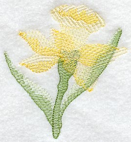Daffodil Soft Shadow