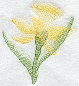 Daffodil Soft Shadow