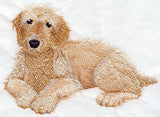 Golden Doodle