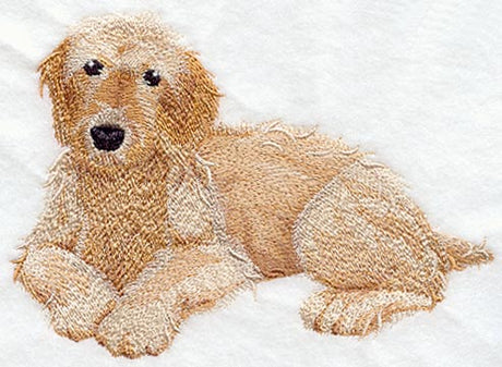 Golden Doodle