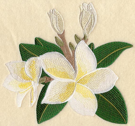 Frangipani Flower Bunch 1