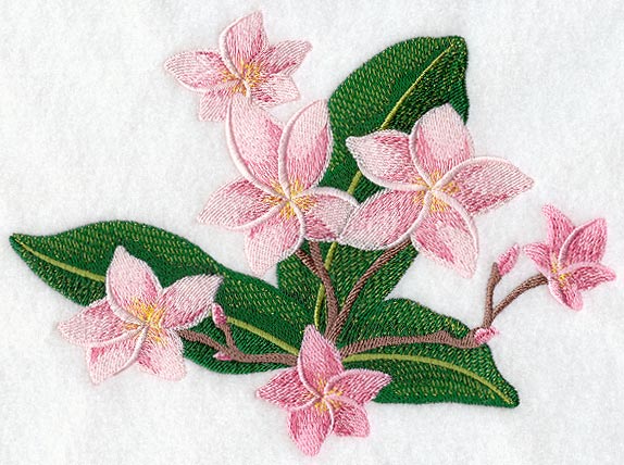 Frangipani Flower Bunch 2