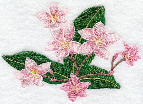 Frangipani Flower Bunch 2