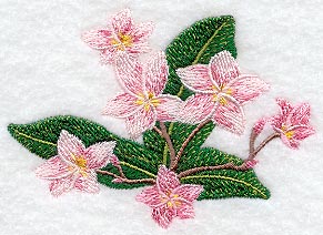 Frangipani Flower Bunch 2