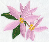 Frangipani Flower Bunch 3