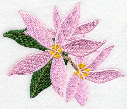 Frangipani Flower Bunch 3