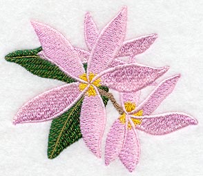 Frangipani Flower Bunch 3