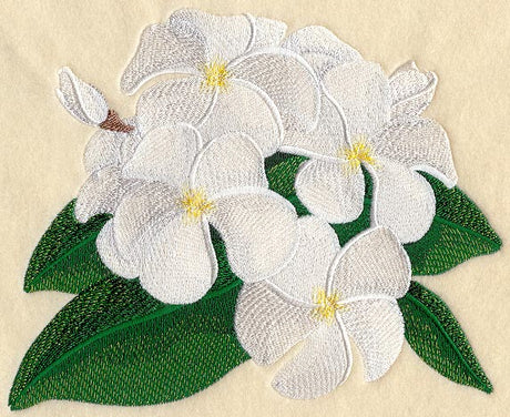 Frangipani Flower Bunch 4