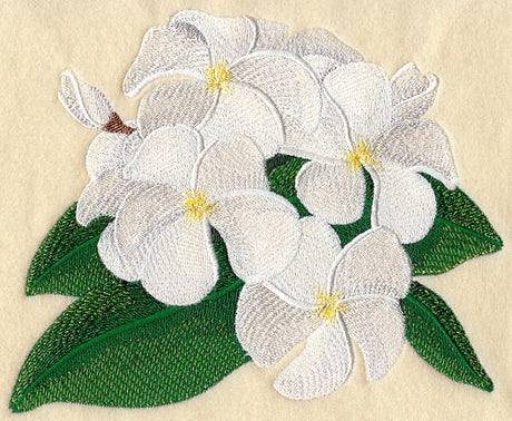 Frangipani Flower Bunch 4