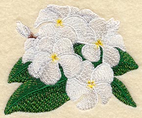 Frangipani Flower Bunch 4