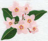 Frangipani Flower Bunch 5