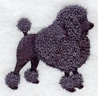 Poodle Silhouette