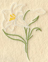 Light and Lovely Easter Lily