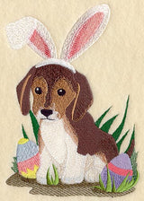 Peter Pup Bunny Wannabe