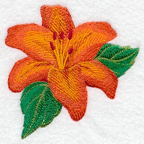 Asiatic Lily Blossom