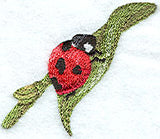 Ladybug and Leaf