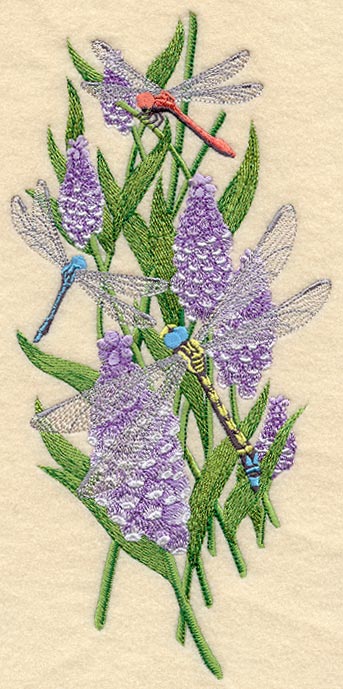 Dreaming of Dragonflies