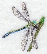 Dragonfly and Flowerbud