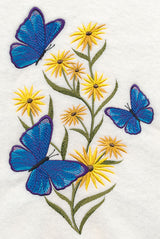 Blooms and Butterflies