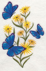 Blooms and Butterflies