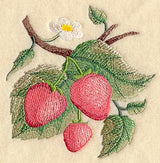 Strawberry Fruit Accent