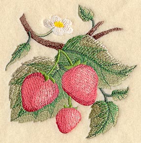 Strawberry Fruit Accent