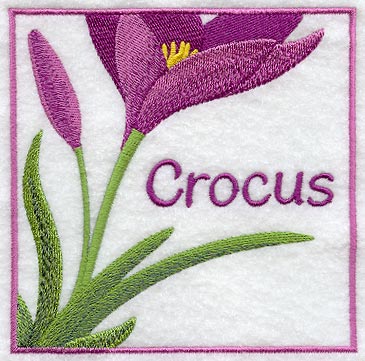 Crocus Floral Square