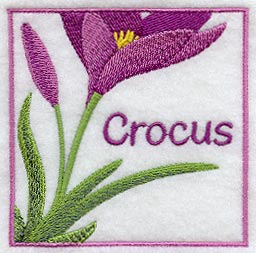 Crocus Floral Square