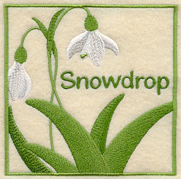 Snowdrop Floral Square