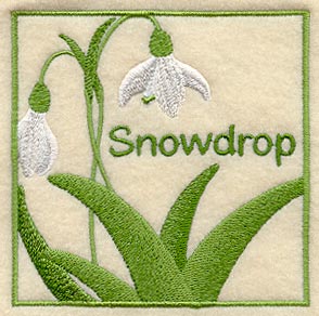Snowdrop Floral Square