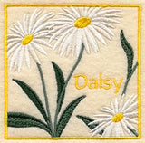 Daisy Floral Square