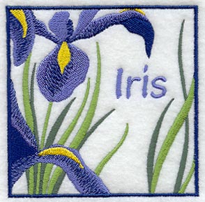 Iris Floral Square