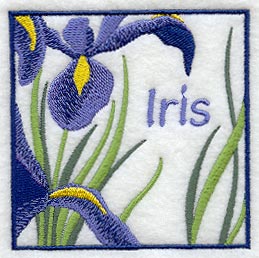 Iris Floral Square