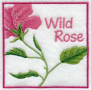 Wild Rose Floral Square