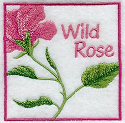 Wild Rose Floral Square