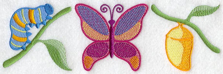 Butterfly Stages Trio