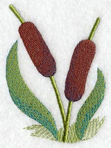 Cattail Pair