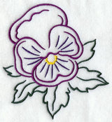 Pansy