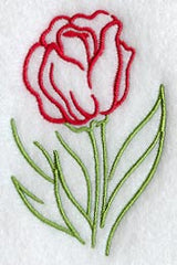 Double Tulip