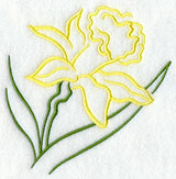 Daffodil